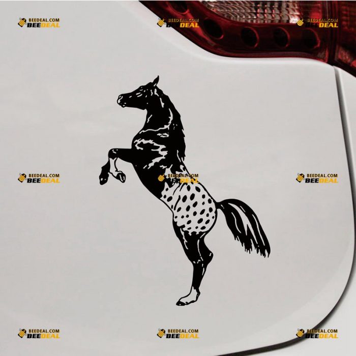 Appaloosa Sticker Decal Vinyl, American Horse – Custom Choose Size Color – For Car Laptop Window Boat – Die Cut No Background 062531704