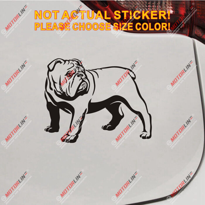 British Bulldog English Decal Sticker Car Vinyl pick size color no bkgrd c